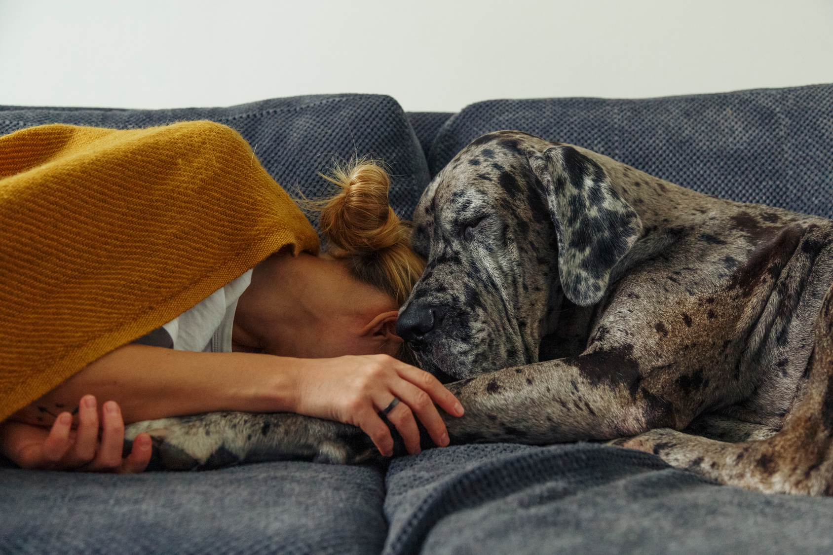 The Heartfelt Journey of Losing a Pet