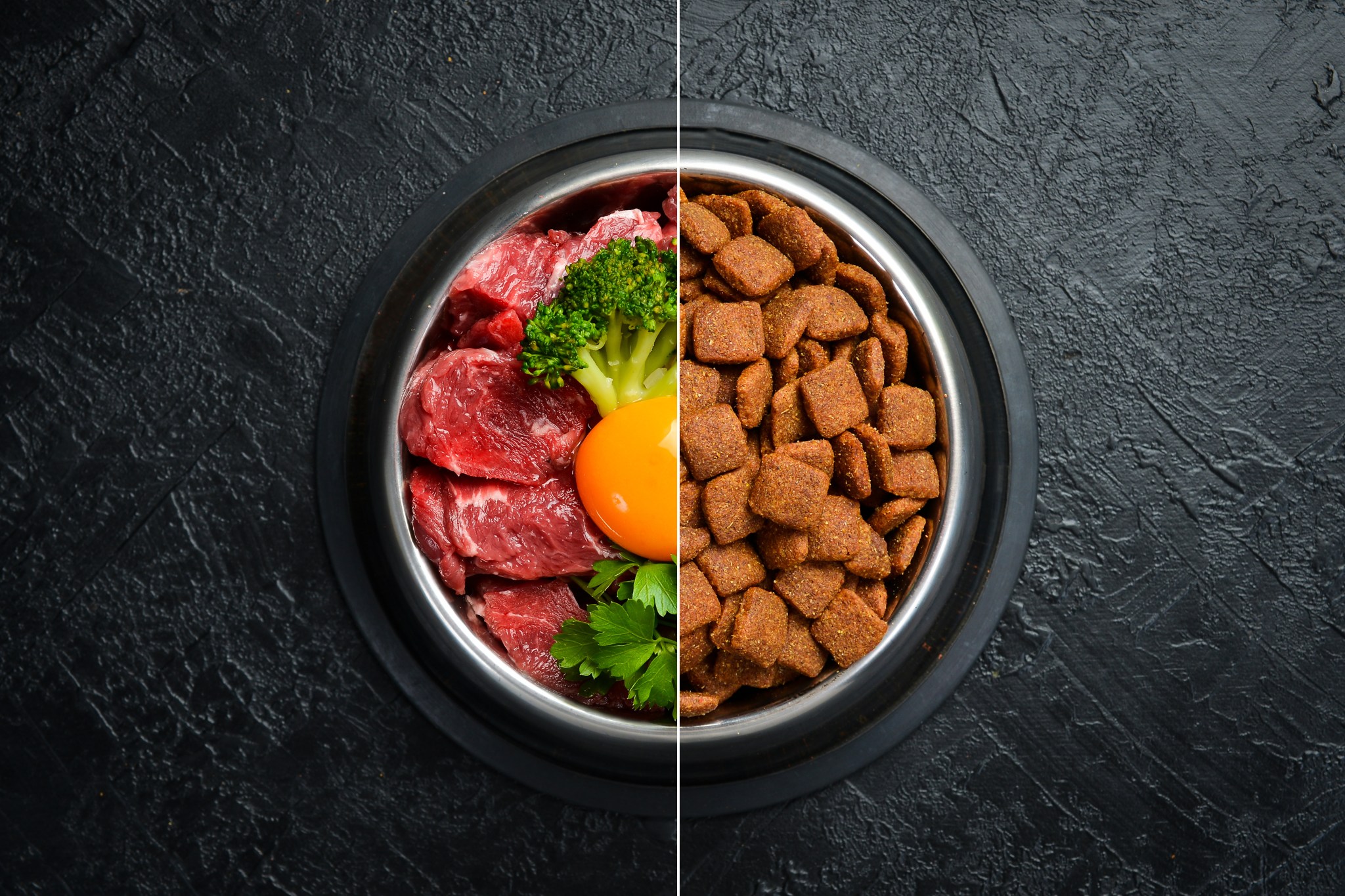 Pet Supplies & Food Recommendations